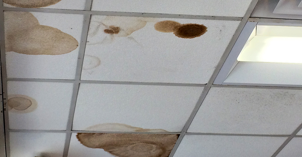 Is Mold From A Roof Leak Dangerous